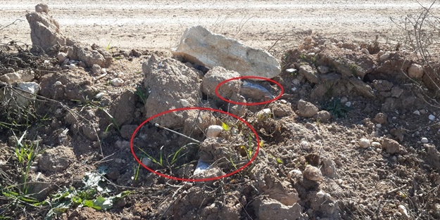 PKK'lı hainlerin tuzağını Mehmetçik bozdu