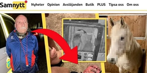 PKK'lı sapık atlara cinsel istismarda bulunmuştu! İşte aldığı ceza