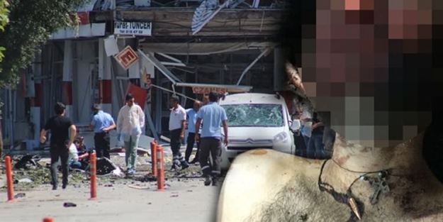 PKK'lı teröristin boynundan öyle bir şey çıktı ki..