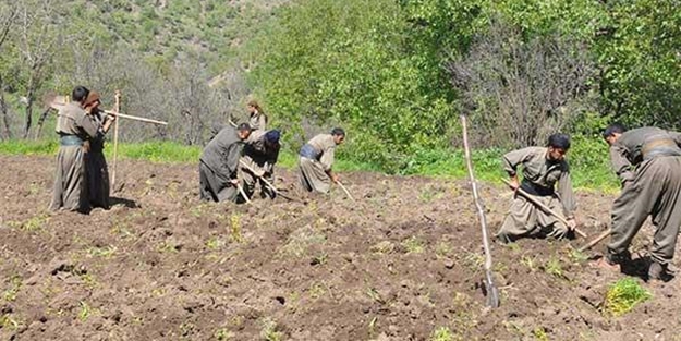 PKK'lıların bu görüntüleri şaşkına çevirdi