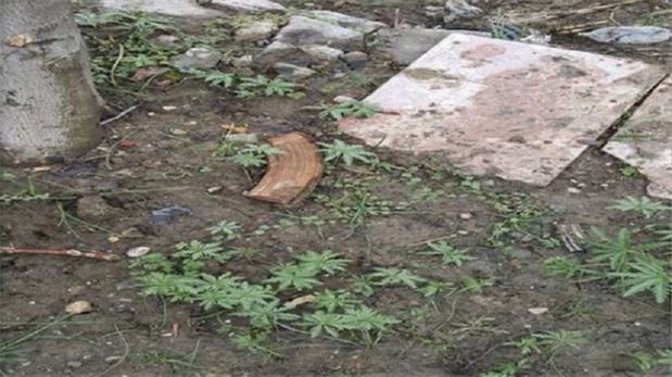 PKK'lıların kullandığı evin bahçesinden çıktı