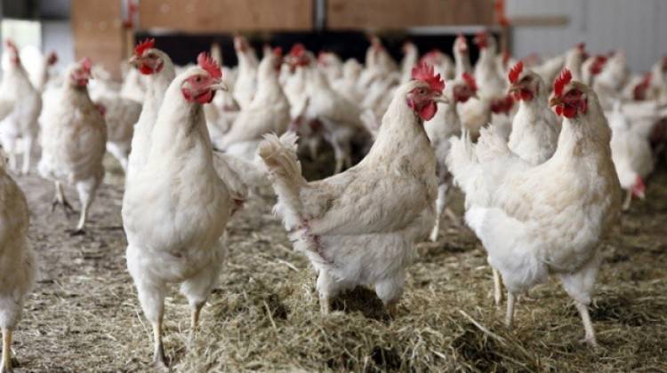 PKK'nın beli kırıldı, Güneydoğu dünyaya açıldı