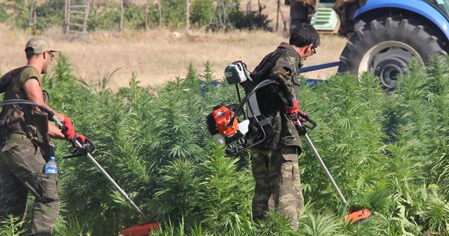 PKK'nın finans kaynağına darbe