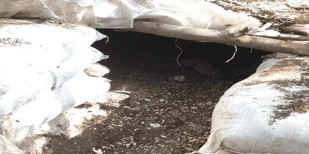 PKK'nın ininde ele geçirilenler şoke etti!