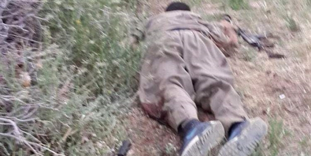PKK sorumlusunun son hali!