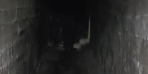 PKK'nın yer altı fareleri artık kurtulamayacak!