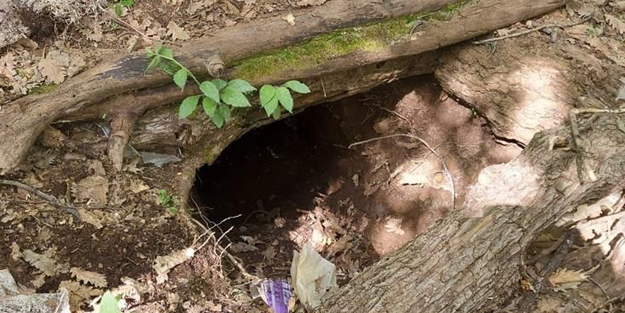 PKK'ya ait 10 sığınak bulundu! İçinden çıkanlar şoke etti