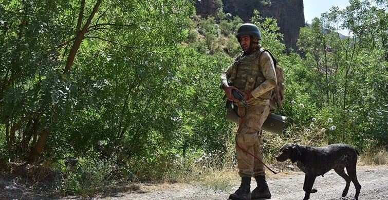 PKK'ya ait gömülü el yapımı patlayıcı bulundu