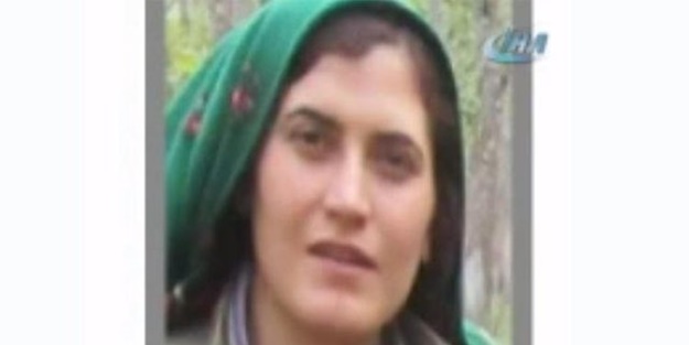 PKK'ya bir darbe daha! Bingöl'de öldürüldü