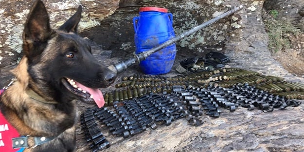PKK'ya bir darbe daha