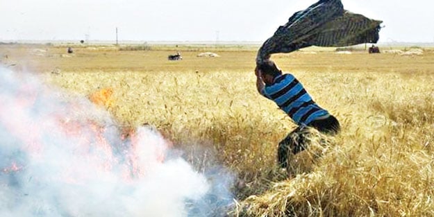 PKK/YPG çiftçinin tarlasını ateşe veriyor