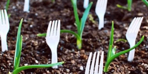 Plastik çatallarla inanılmaz gerçekleşti! İşte daha önce duymadığınız şeyler...