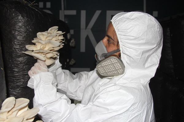 Plazaları bıraktılar kendi işlerini kurdular