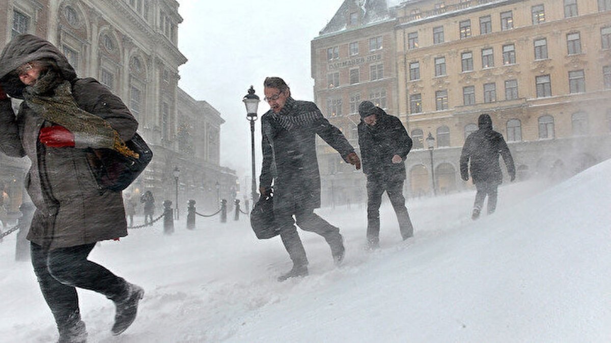 Polar kumaş şartı! Avrupalılar donmamak için sipariş yağdırıyor
