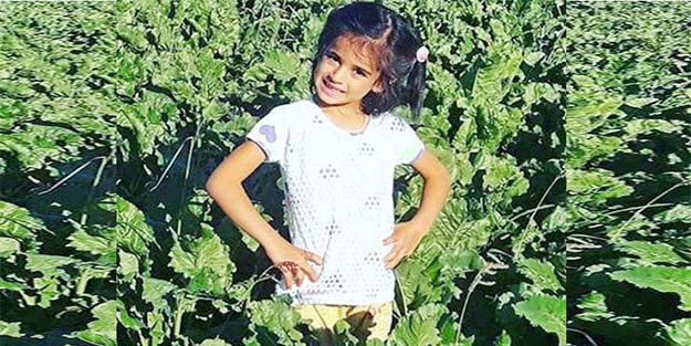 Polatlı'da kaybolan minik Eylül'ü arama çalışmaları sürüyor