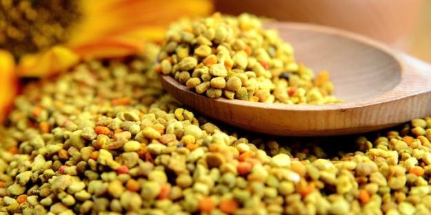 Polenler olağanüstü yarar sağlıyor