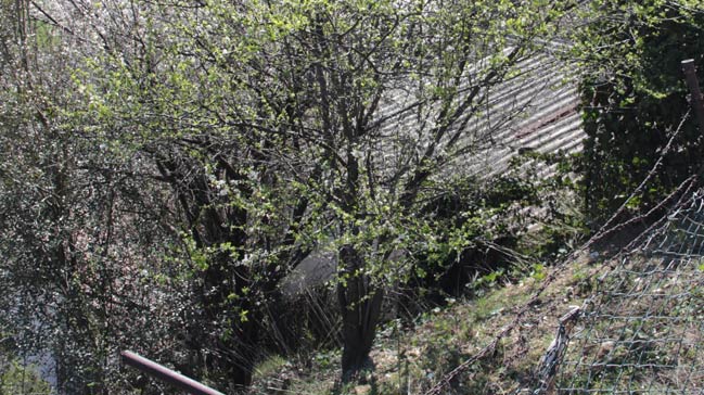 Polis bahçeye uyuşturucu atanları arıyor