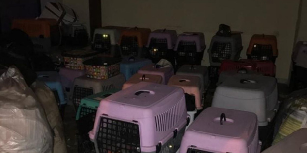 Polis baskın yaptı! Karşılaşılan görüntü pes dedirtti