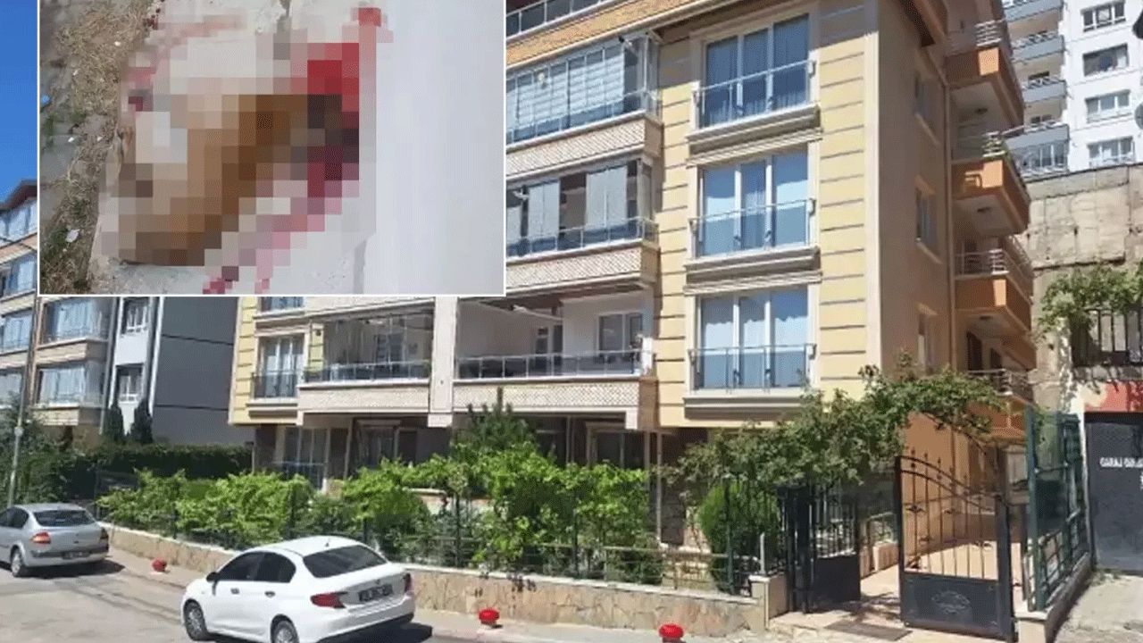 Polis beylik silahıyla sokak köpeğini vurdu