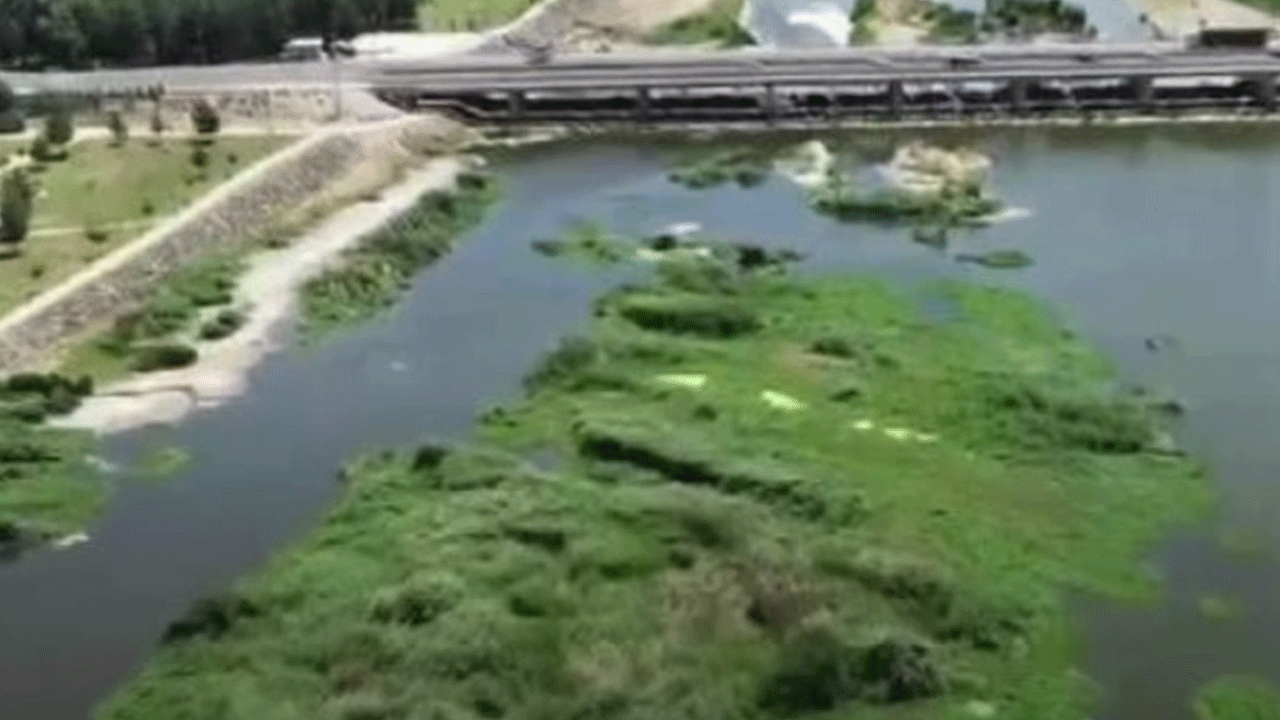 Polis bile şaştı kaldı: Keneviri burada yetiştiriyorlar!