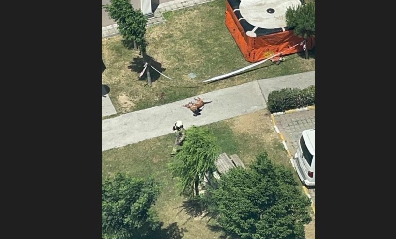 Polis cinnet geçirdi! Köpeğini vurup camdan aşağıya attı