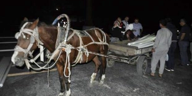 At arabasıyla birlikte gözaltına alındılar