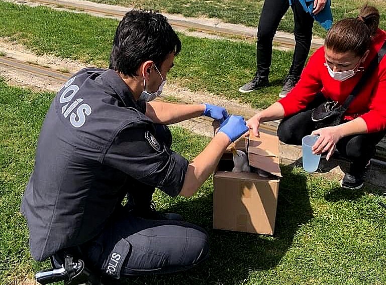 Polis memuru, aç martının imdadına yetişti 