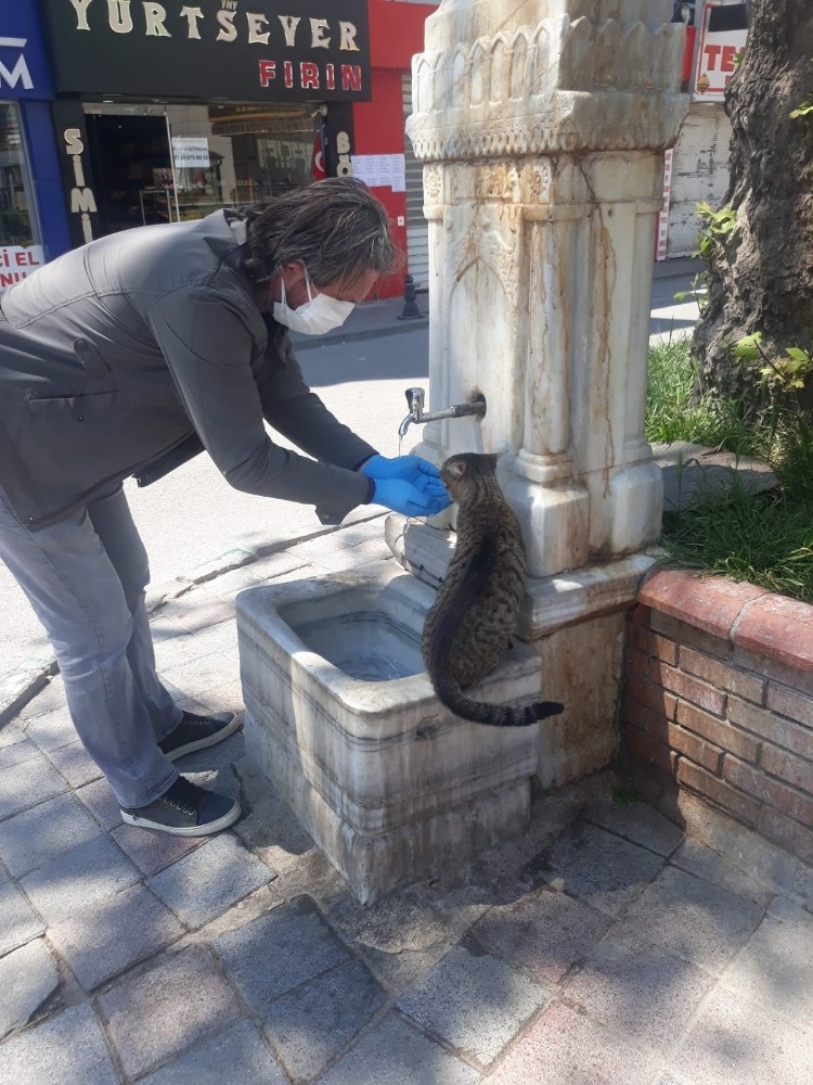 Polisin hayvan sevgisi 
