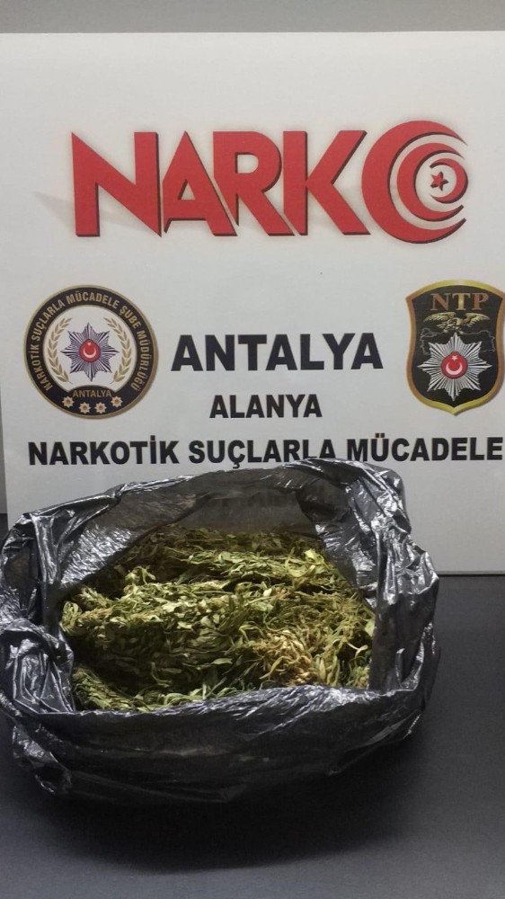 Polisin şüphe üzerine durdurduğu araçtan esrar çıktı 