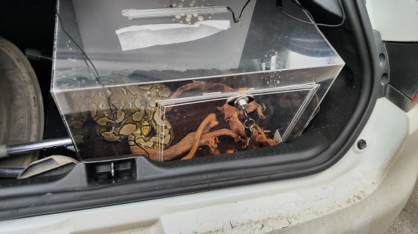 Polisler gözlerine inanamadı! Bakın otomobilin bagajından ne çıktı