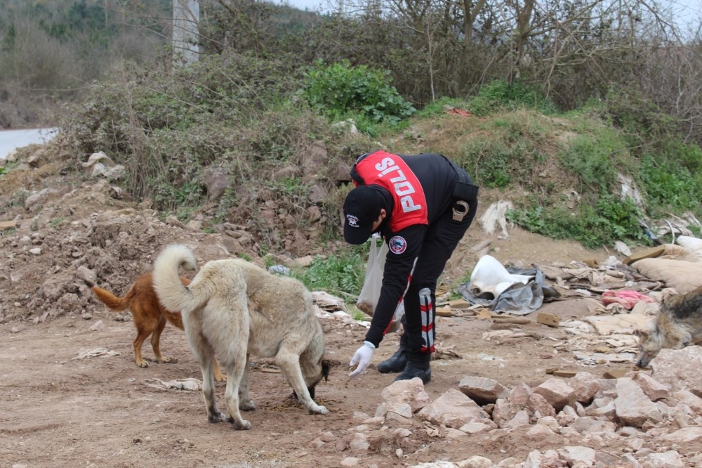 Polisler sokak hayvanlarına mama bıraktı 