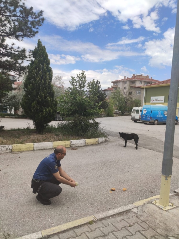 Polisler sokak hayvanlarını besledi 