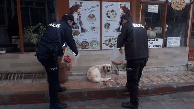 Polisler sokak hayvanlarını elleriyle besledi 