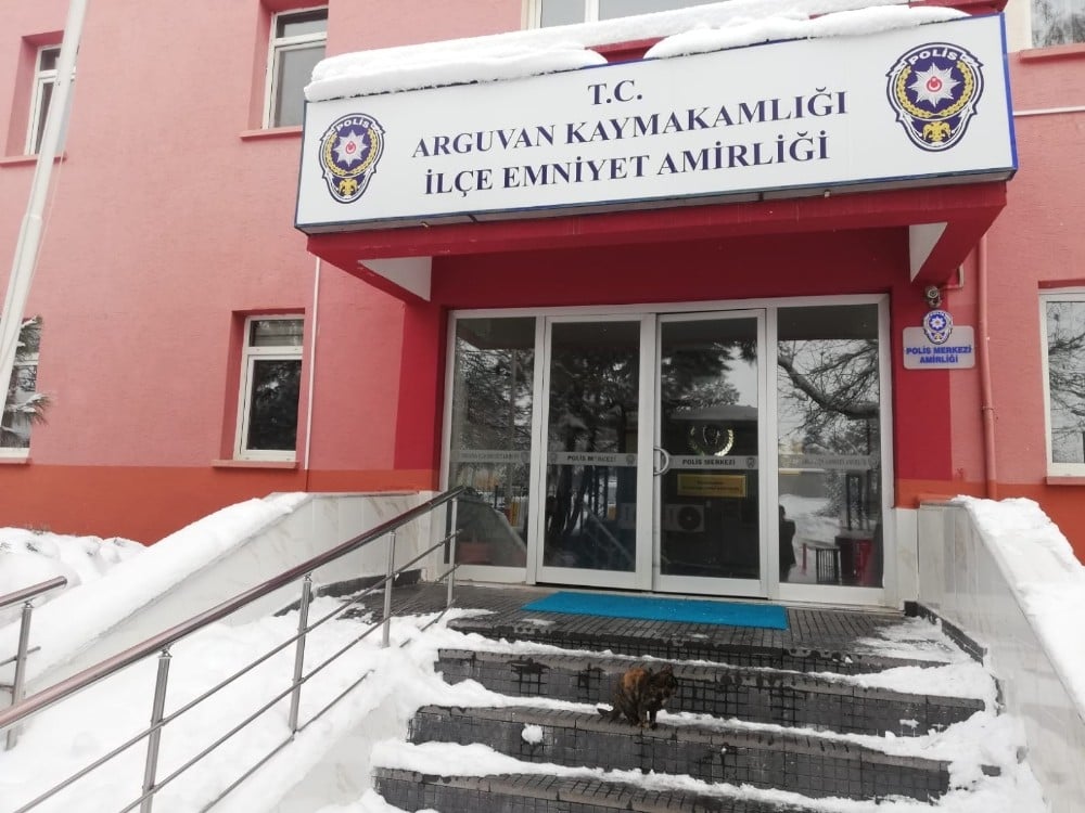 Polisten kedi şefkati 