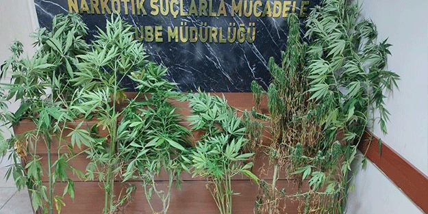 Polisten uyuşturucu operasyonu