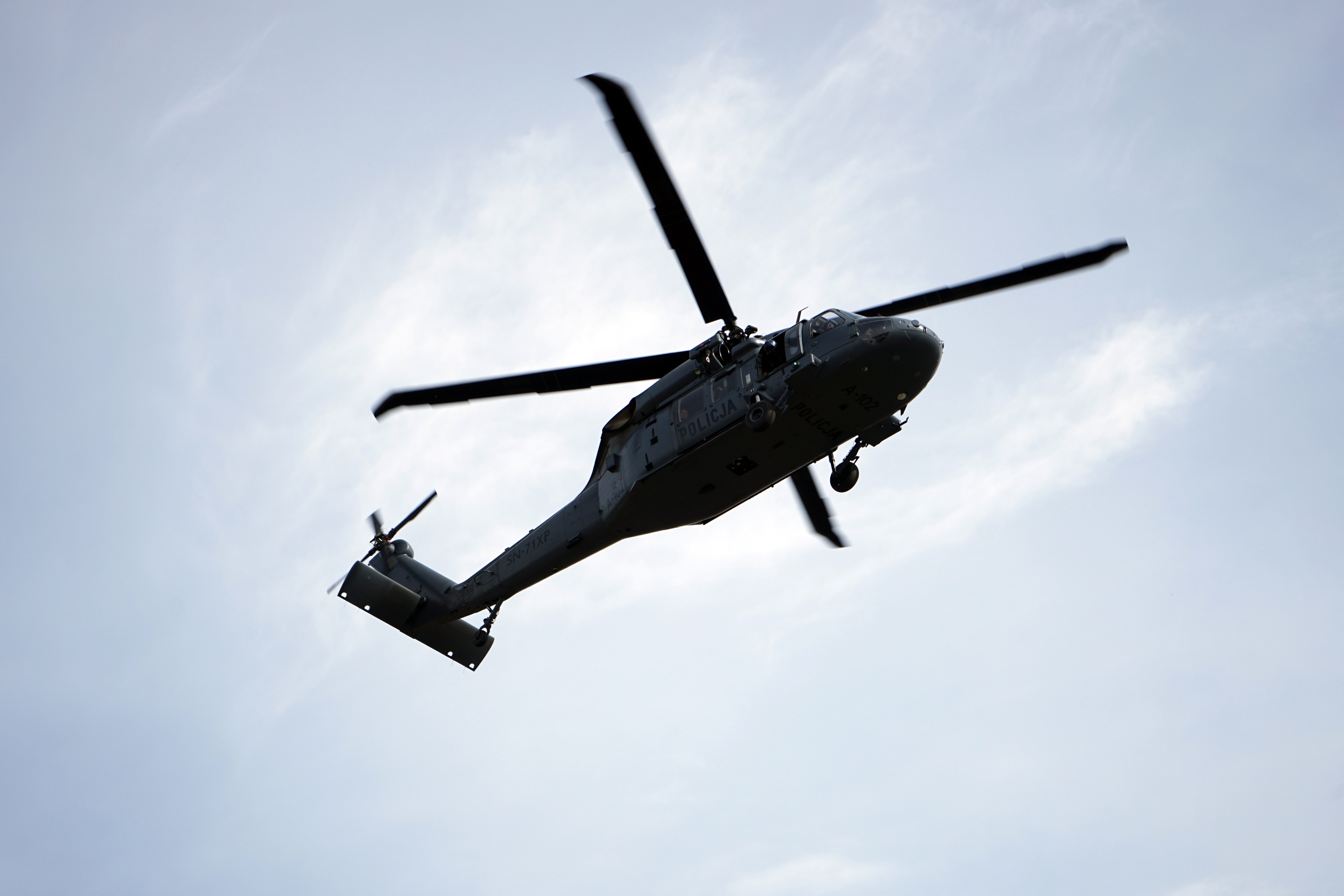 Polonya, ABD'den 32 adet 