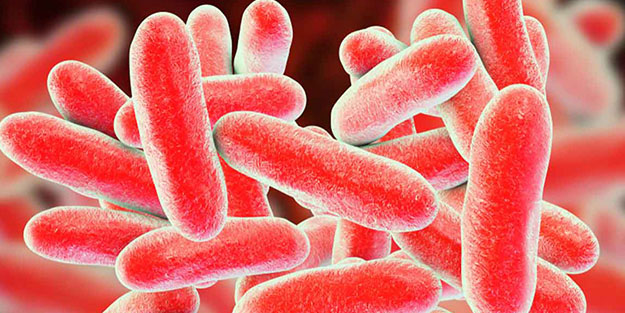 Ülkede lejyoner hastalığı artıyor! Can kaybı 23'e ulaştı