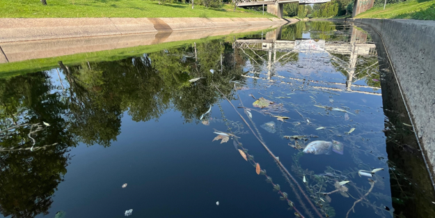 Porsuk Çayı korkuttu