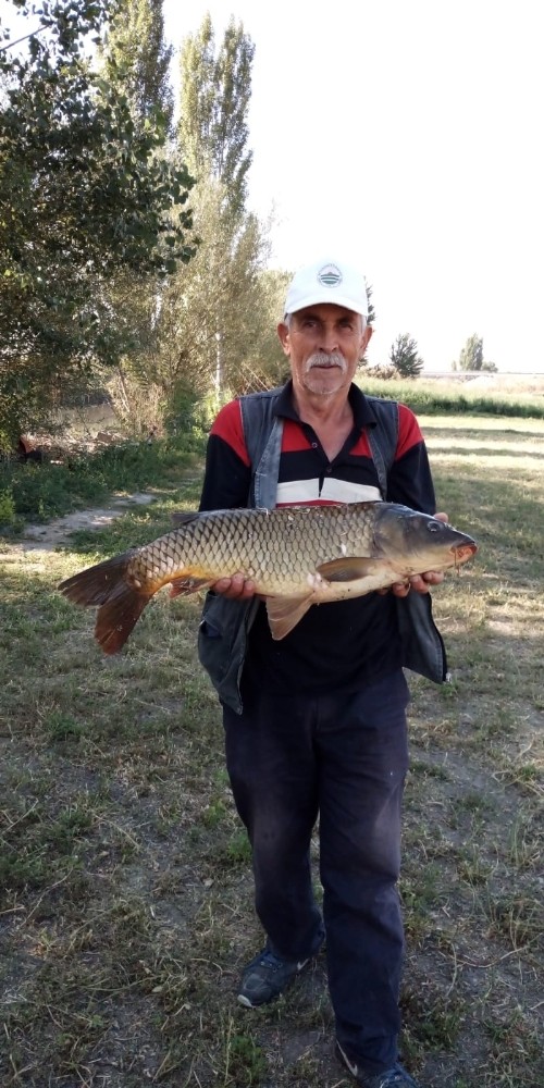 Porsuk’ta balık bereketi 
