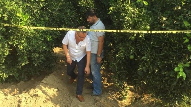 Portakal bahçesinde toprağa gömülü ceset bulundu