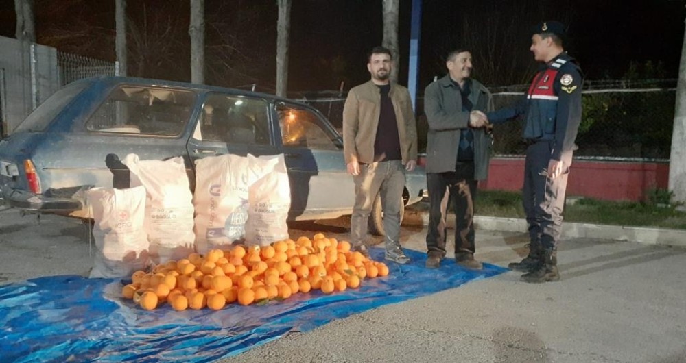 Portakal hırsızları jandarmanın dikkati sonucu yakalandı 