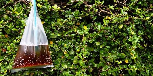 Poşetin içine ispirto koyup eve asarsanız...