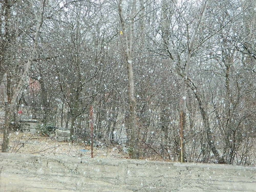Posof’a kar yeni yıl ile geldi 