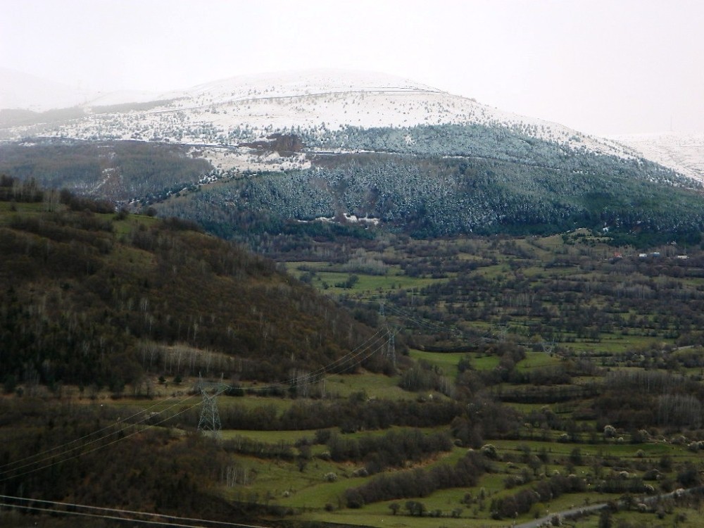 Posof’ta kardan sonra bahar 
