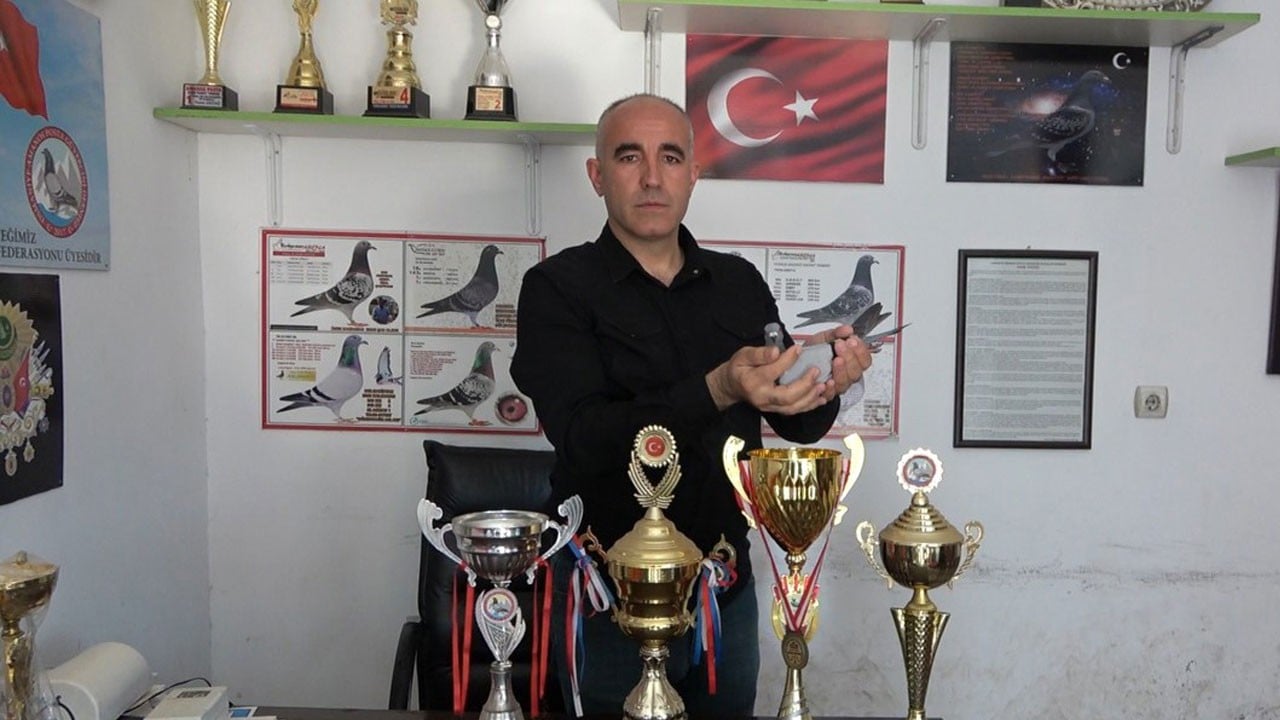 Posta güvercini şampiyon oldu! Ermenistan sınırından havalandı, bin kilometre uçtu