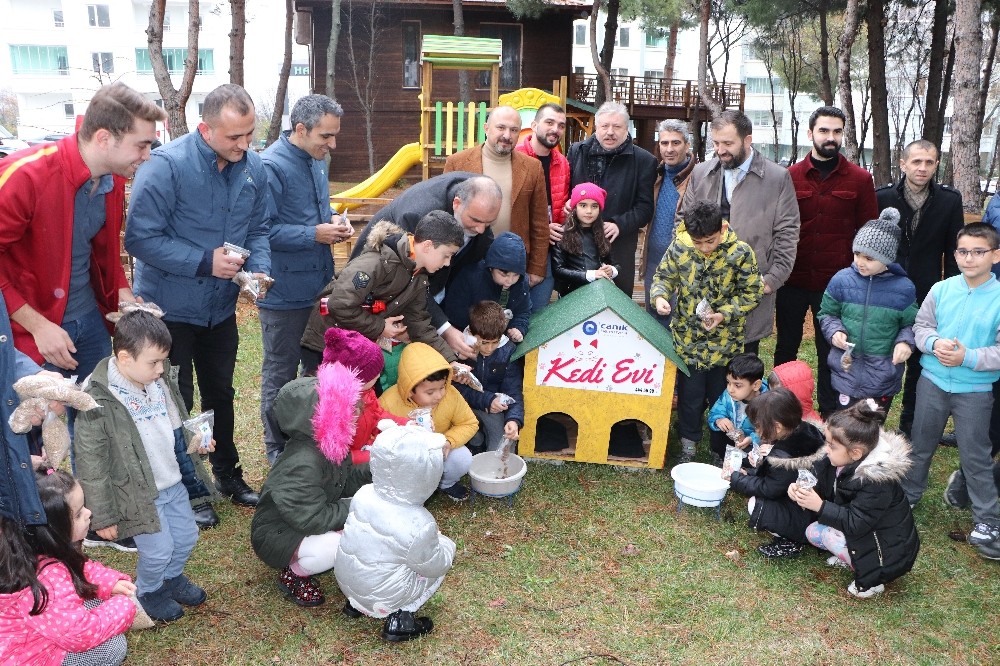 Postacılar artık gittiği her sokağa mama bırakacak 