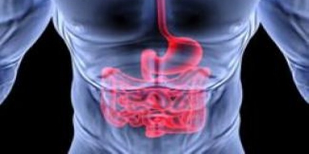 Probiyotiklerin bilinmeyen 9 faydası