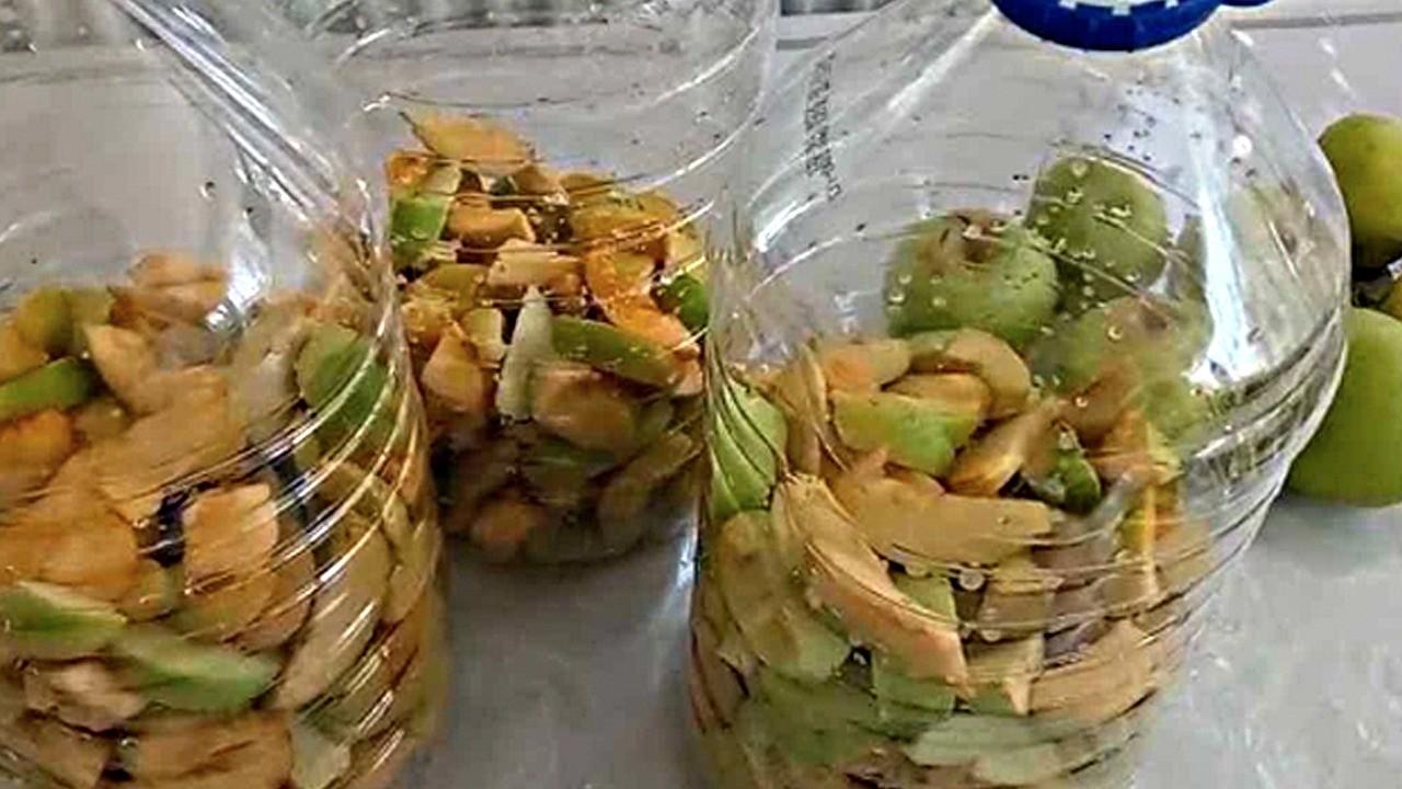 Prof. Dr. Canan Karatay önerdi : Kış boyunca bunu mutlaka tüketin! Mücadele ediyor