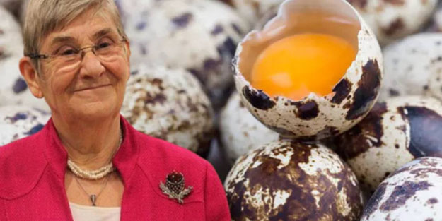 Prof. Dr. Canan Karatay zeka gerilemesini engelleyen besini açıkladı: Evlerinizde bulundurun
