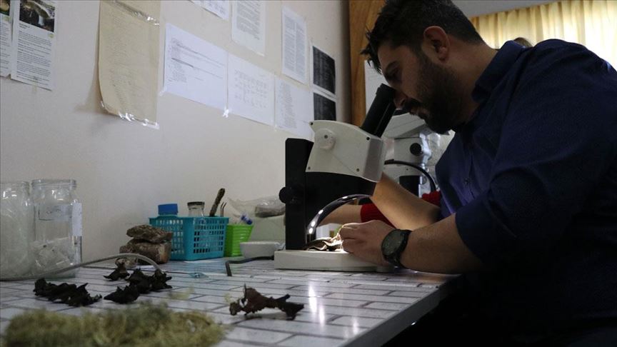 Prof. Dr. Gökhan Halıcı: 